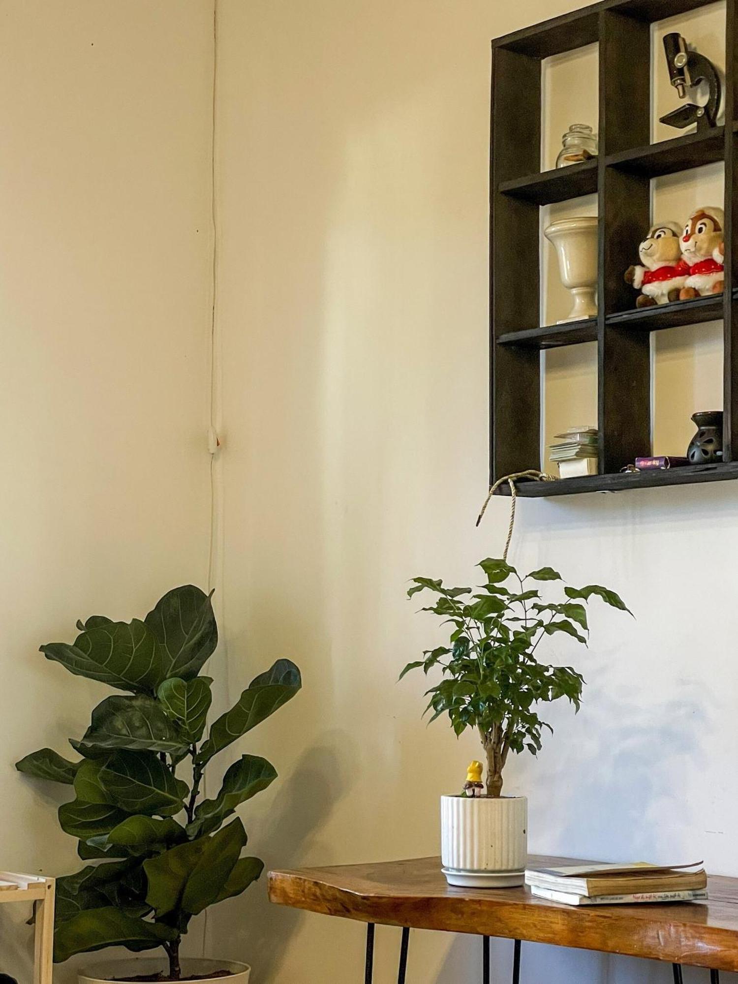 Hat De Homestay Da Lat Kültér fotó