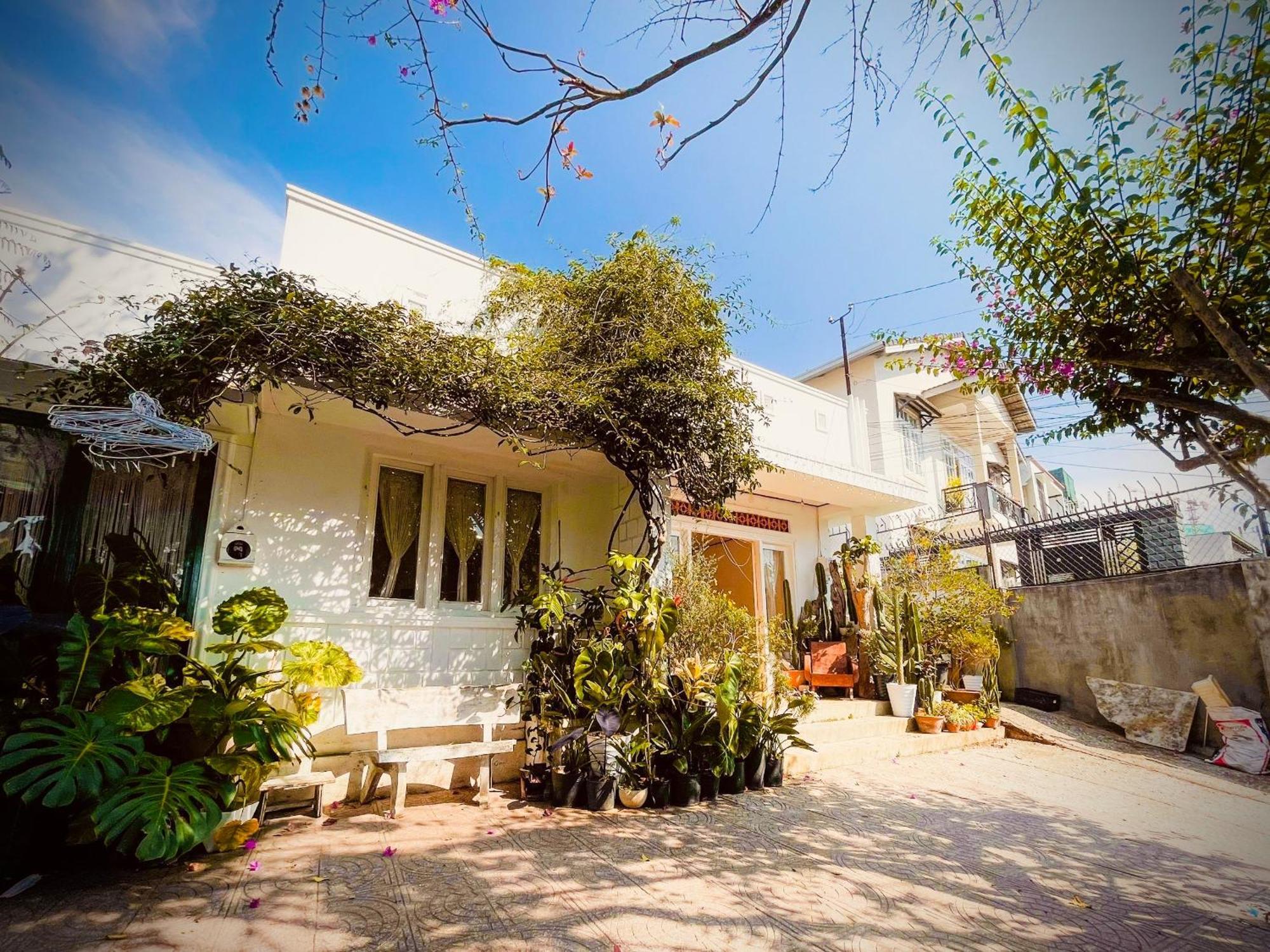 Hat De Homestay Da Lat Kültér fotó