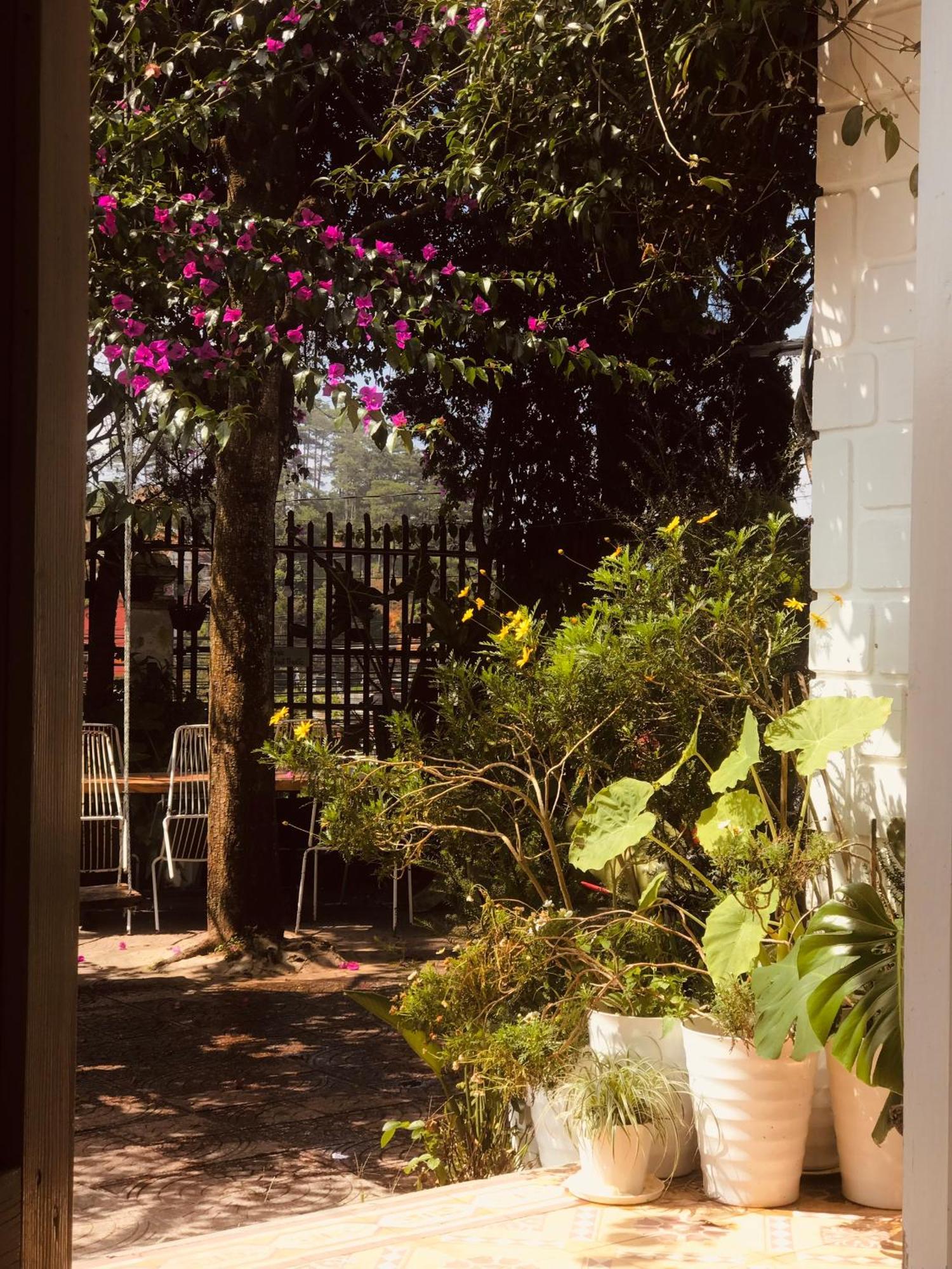 Hat De Homestay Da Lat Kültér fotó